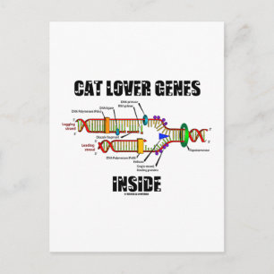 Cartão Postal Dentro de Genes do Cat Lover (Replicação de DNA)