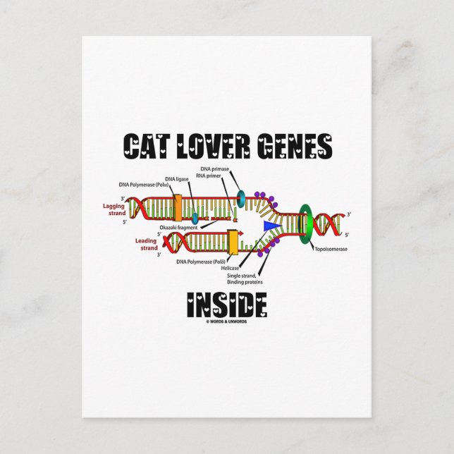 Cartão Postal Dentro de Genes do Cat Lover (Replicação de DNA) (Frente)