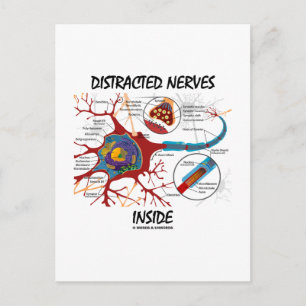 Cartão Postal Dentro de nervos distraídos (Synapse)