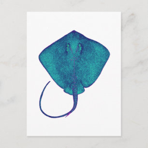 CARTÃO POSTAL DENTRO DO AZUL