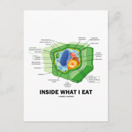 Cartão Postal Dentro do que eu como (o humor do vegetariano da