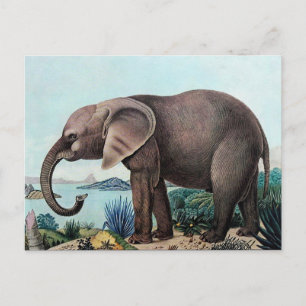 Cartão Postal Der Afrikanische Elefant ou African Elephant