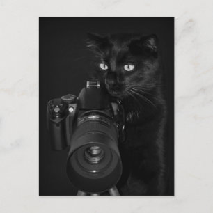 Cartão Postal Der Fotograf - Postkarte