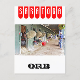 Cartão Postal Derby winner "Orb" como 2 anos de idade