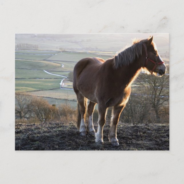 Cartão Postal Derbyshire, Inglaterra (Frente)