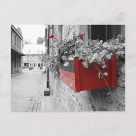 Cartão Postal Des fleurs à Montréal