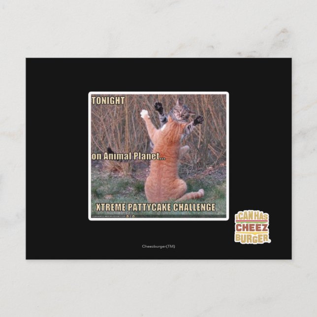 Cartão Postal Desafio Xtreme PattyCake (Frente)