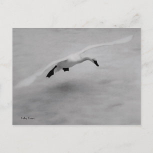 Cartão Postal Descolagem