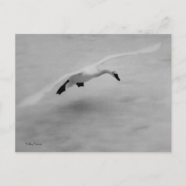 Cartão Postal Descolagem (Frente)