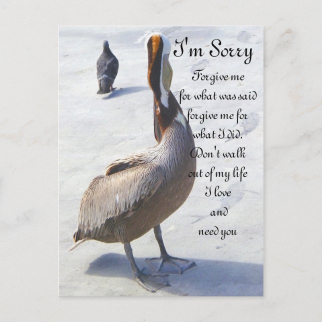 Cartão Postal Desculpe. (Frente)