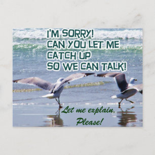 Cartão Postal Desculpe.