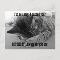 Desculpe Kitten