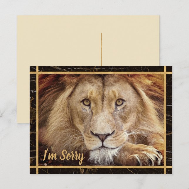 Cartão Postal Desculpe, Lion Photo Image (Frente/Verso)
