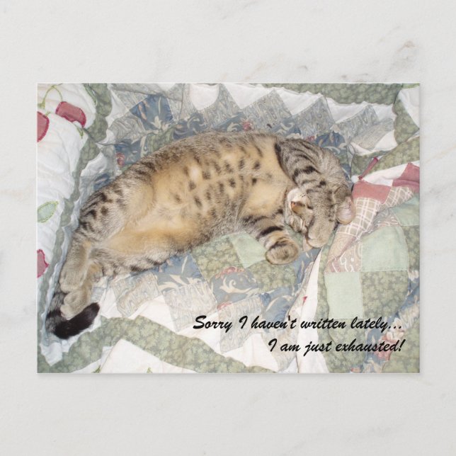 Cartão Postal Desculpe não ter escrito ultimamente... (Frente)