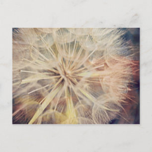 Cartão Postal Desejo... -Cartão Postal