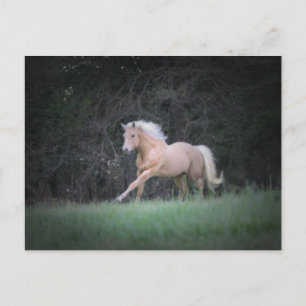 Cartão Postal Desejo forte