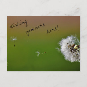 Cartão Postal Desejos