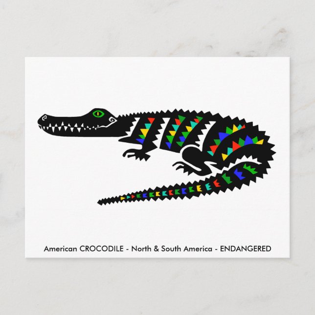 Cartão Postal Desenhado à mão - CROCODILO -Conservação -Réptil- (Frente)