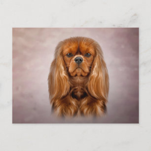 Cartão Postal Desenhando Cavalier King Charles Spaniel