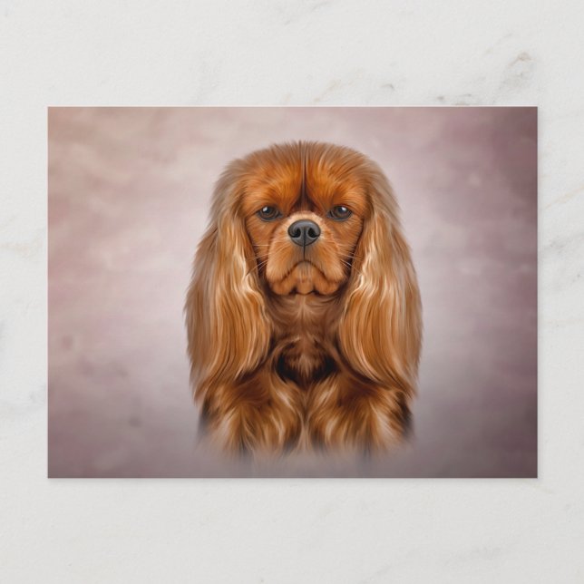 Cartão Postal Desenhando Cavalier King Charles Spaniel (Frente)