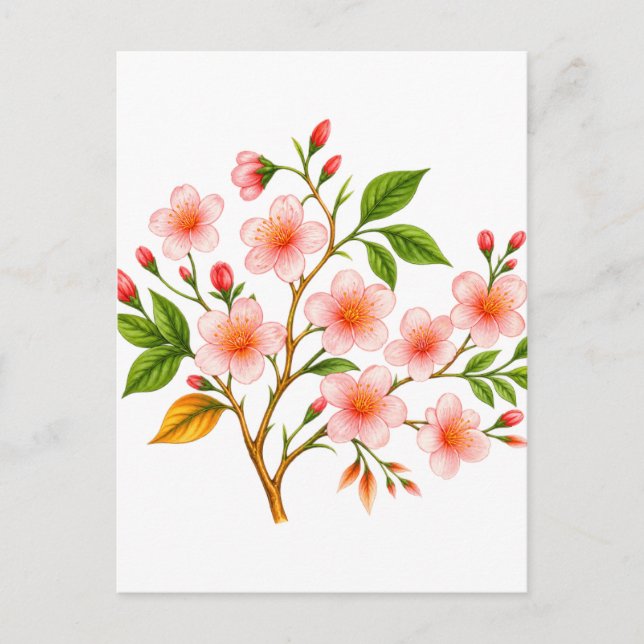 Cartão Postal Desenho Botânico de Primavera (Frente)