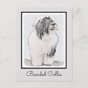 Cartão Postal Desenho Collie Com Carapaça - Arte Cachorra Origi