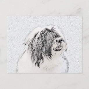 Cartão Postal Desenho Collie Com Carapaça - Arte Cachorra Origi