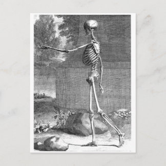 Cartão Postal Desenho da anatomia venosa, vista lateral, esquele