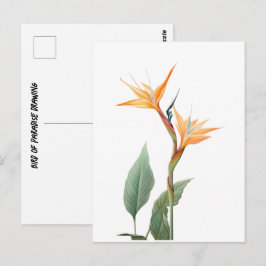 Cartão Postal Desenho da ave do paraíso (flor)