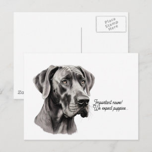 Cartão Postal Desenho da cabeça de um Dogue Alemão