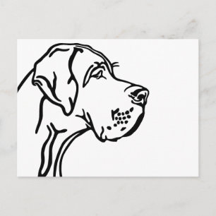 Cartão Postal Desenho da cabeça de um Great Dane