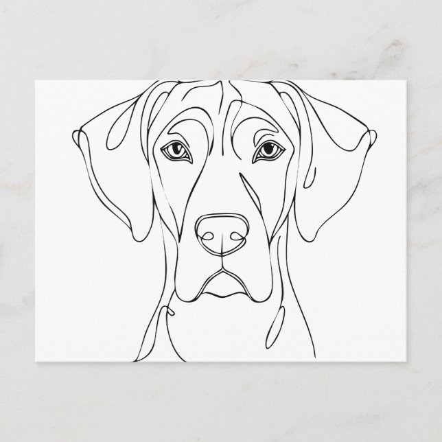 Cartão Postal Desenho da cabeça de um Great Dane II (Frente)
