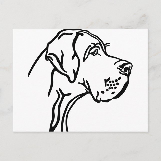 Cartão Postal Desenho da cabeça do Dogue Alemão (Frente)