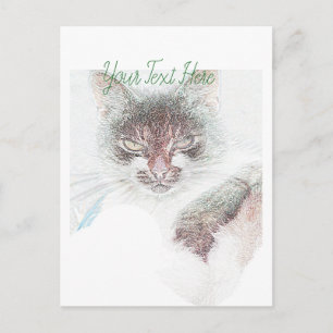 Cartão Postal Desenho Da Cara Do Cate Cute Zangado
