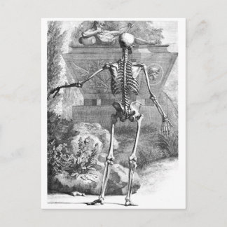 Cartão Postal Desenho da vinheta de um esqueleto virado para a r