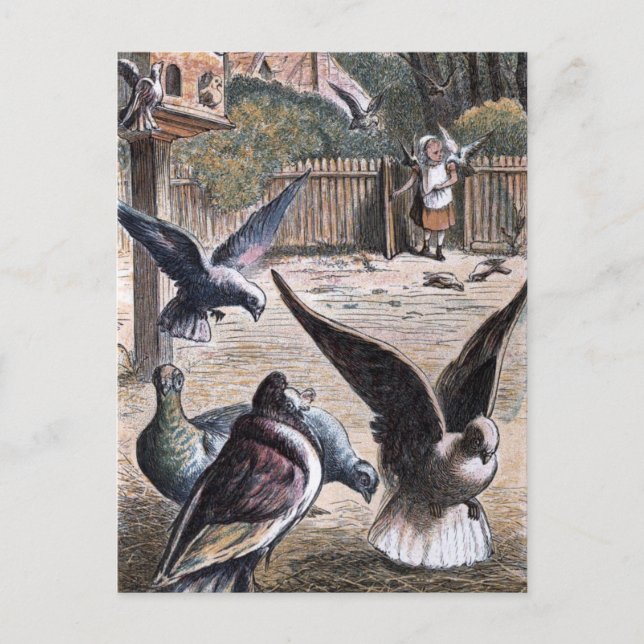 Cartão Postal Desenho da Vintage: Carrier Pidgeons (Frente)