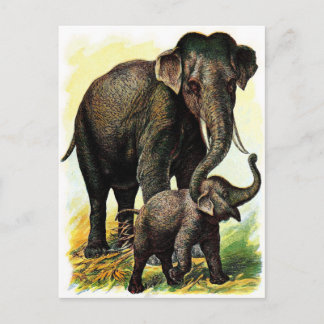 Cartão Postal Desenho da Vintage: Elefante-mãe com vitelo