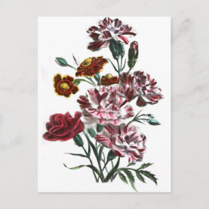 Cartão Postal Desenho da Vintage: Flores-Rosa Flandres