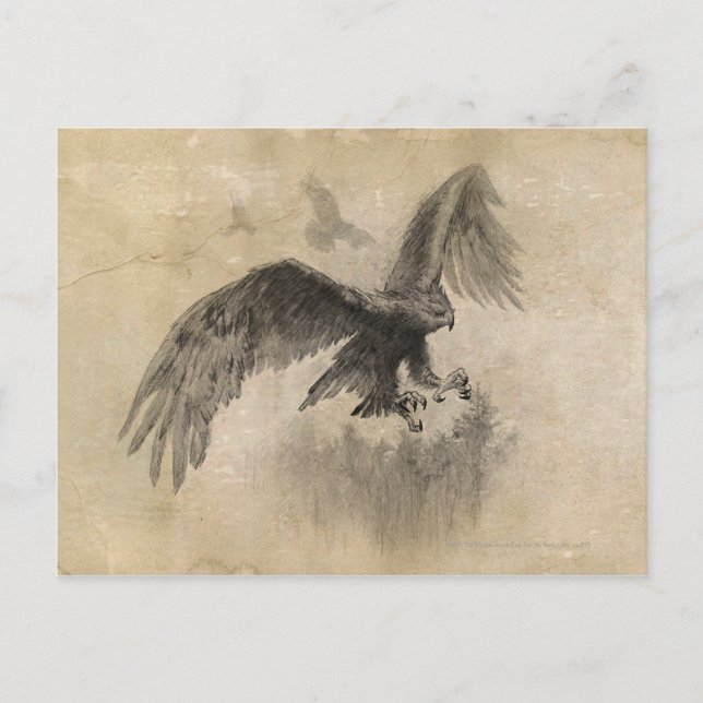 Cartão Postal Desenho das Águias excelentes (Frente)