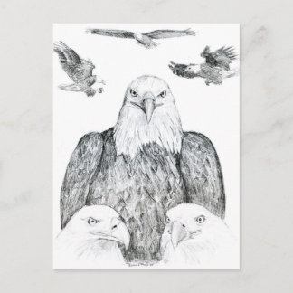 Cartão Postal Desenho de Águia Cega