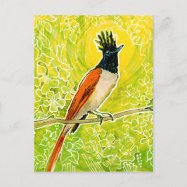 Cartão Postal Desenho de aves tropicais do Paraíso Indiano Flyca
