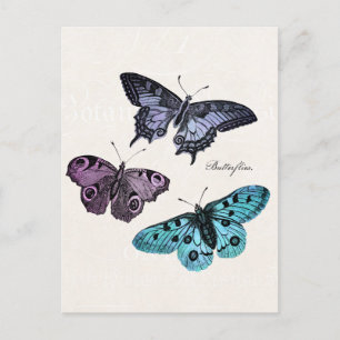 Cartão Postal Desenho de Borboleta Rosa Roxo Azul Turquesa Cláss