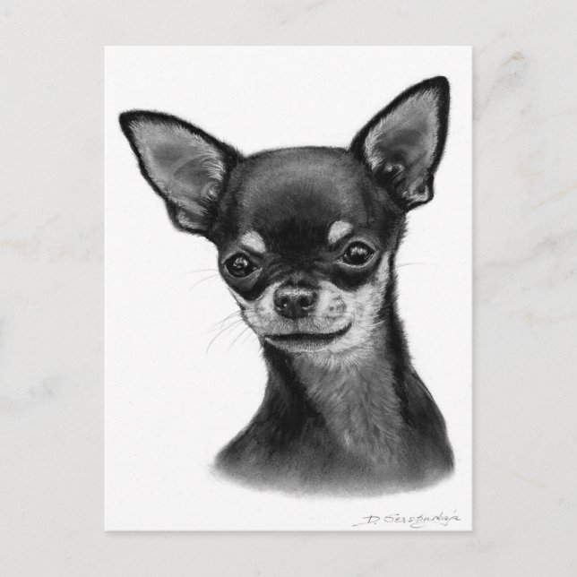 Cartão Postal Desenho de carvão vegetal de folha suave (Frente)