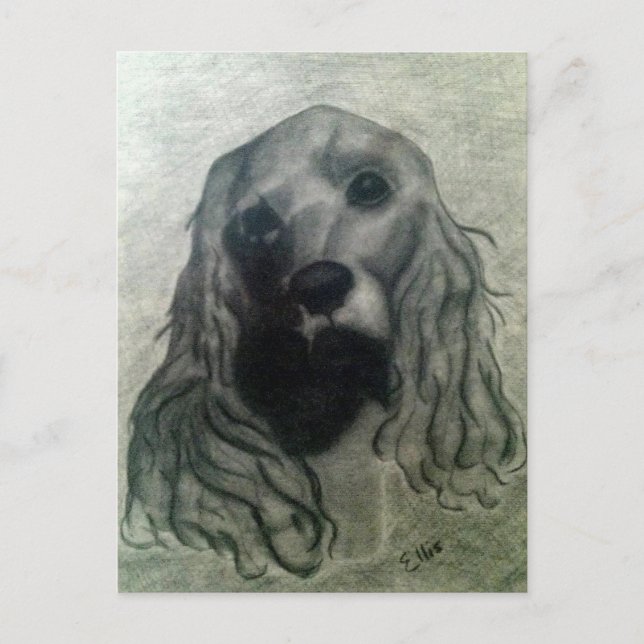 Cartão Postal Desenho de Cocker, Claire (Frente)