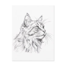Desenho de gato