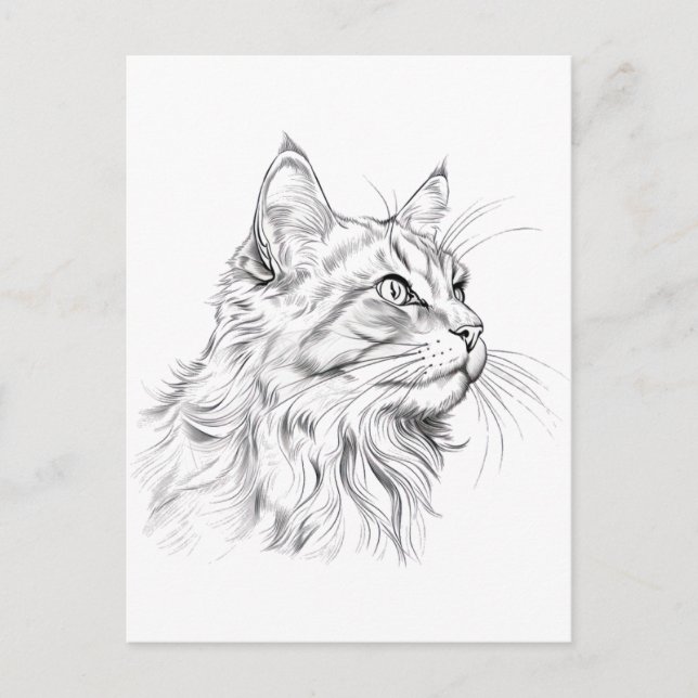 Cartão Postal Desenho de gato (Frente)
