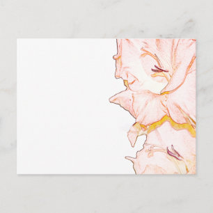 Cartão Postal Desenho de Gladiolus
