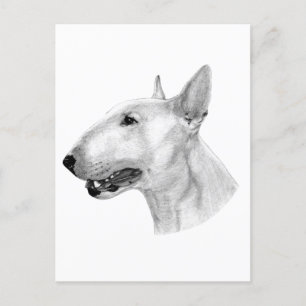 Cartão Postal Desenho de lápis Bull Terrier