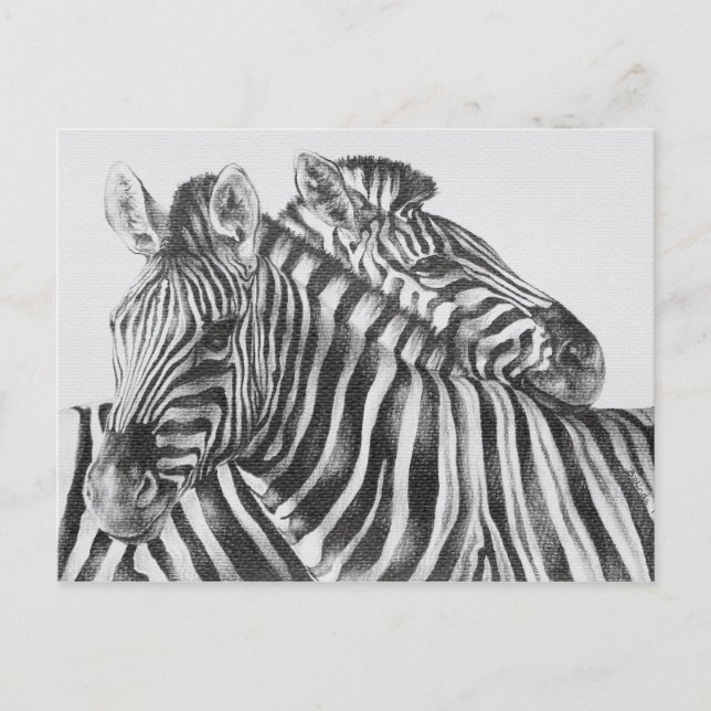 Cartão Postal Desenho de lápis original da zebra (Frente)