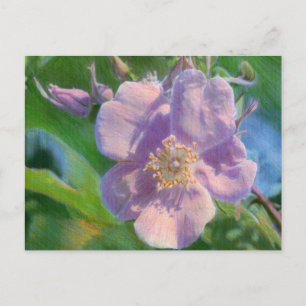 Cartão Postal Desenho de Rosa Selvagem em Mídia Mista